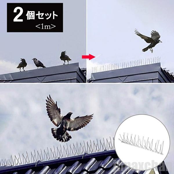 気楽 鳥よけ 針金 2個セット 害獣よけ スパイク 猫 ベランダ 玄関 ハト避け 糞害対策 侵入防止 予防 害獣 畑 バード 長さカット 可能 防鳥 カラス対策 からすよけ 家庭菜