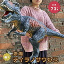 気楽 玩具 恐竜 ティラノサウルス 特大 置物 鳴く バースデー　プレゼント おもちゃ 男の子 ど迫 ...