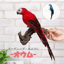 気楽 虫よけ オウム 鸚鵡 置物 ブルーorレッド 虫除け オブジェ 防虫 害虫 畑 田んぼ 家庭菜園 農業用品 資材 ベランダ バスルーム 風呂 田畑 鳥害対...