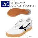 《受注生産》《送料無料》ミズノ スペクトラ オーダー トレーニングシューズ アッパー 天然皮革(カンガルー革) ひもタイプ コーチシューズ U1GX401000