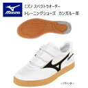《受注生産》《送料無料》ミズノ スペクトラ オーダー トレーニングシューズ アッパー 天然皮革(カンガルー革) 3本マジックタイプ コーチシューズ ネーム刺しゅ...
