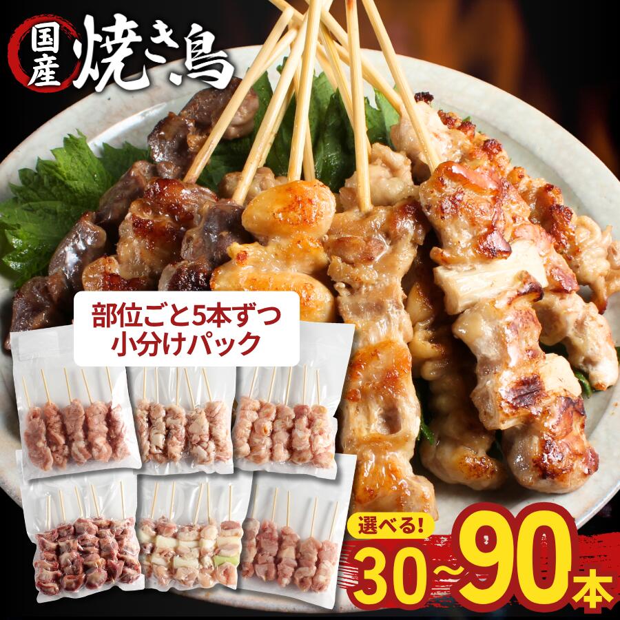 楽天市場】焼き鳥 学園祭の通販