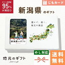 【 新潟県 カタログギフト 】新潟のギフト じも カードタイプ 北陸 新潟 ギフト コシヒカリ 米 魚沼産コシヒカリ 梨 地元のギフト カード グルメ 内祝い 結婚祝い 出産祝い 香典返し 送料無料 5000円 母の日 父の日 敬老の日 名物 名産 お中元 お土産 お歳暮 お年賀