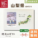 【 山梨県 カタログギフト 】山梨のギフト エコ タイプ 甲信 山梨 甲府 ギフト桃 大藤 ワイン 甲州 甲斐 北杜 地元のギフト カード グルメ 内祝い 結婚祝い 出産祝い 香典返し 送料無料 5000円 母の日 父の日 敬老の日 名物 名産 お中元 お土産 お歳暮 お年賀