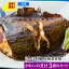 【じんぼ特製 本格煮付魚 かれいの煮付5切れセット】送料無料 レンジで温めるだけ 遠赤外線魚焼機で焼き上げ <煮付魚 かれいの煮付5切>