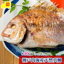 【じんぼの祝い鯛】 送料無料 お食い初め セット 料理 お食い初め 鯛 お食い初め セット 料理 男の子 女の子 お食い初めセット 長寿祝い 専用飾り盆セット付...