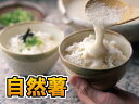 【食べ切りサイズ】【静岡県産自然薯】【送料無料】こだわりの栽培の自然薯　170g【税込】【長寿】【山 ...