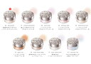 【国内正規品】COSME DECORTE コスメデコルテ ルース 00 translucent パウダー なめらかな粉質 フェイスパウダー 保湿感 カバー効果 みずみずしい透明感 みずみずしいツヤ質感 新発売 大人気(4)
