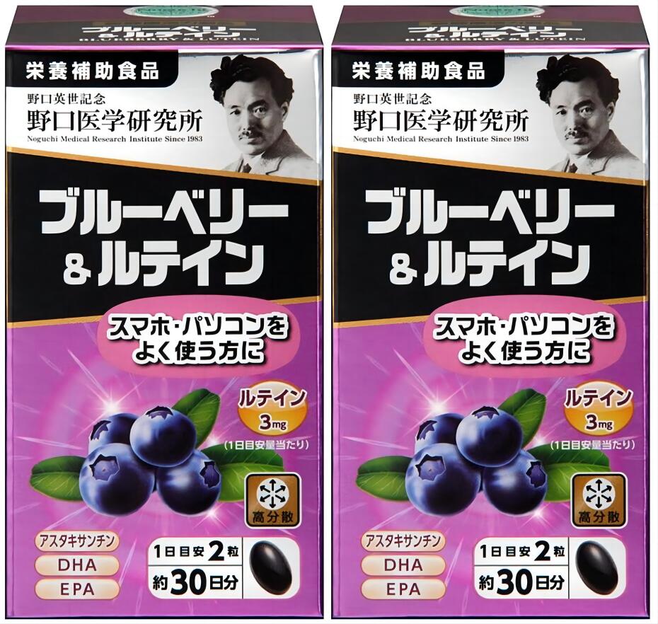 【2個セット】野口医学研究所 ブルーベリー＆ルテイン 60粒x2 DHA EPA サプリメント栄養補助食品 健康維持サプリ【4562193141831】在庫が少ない