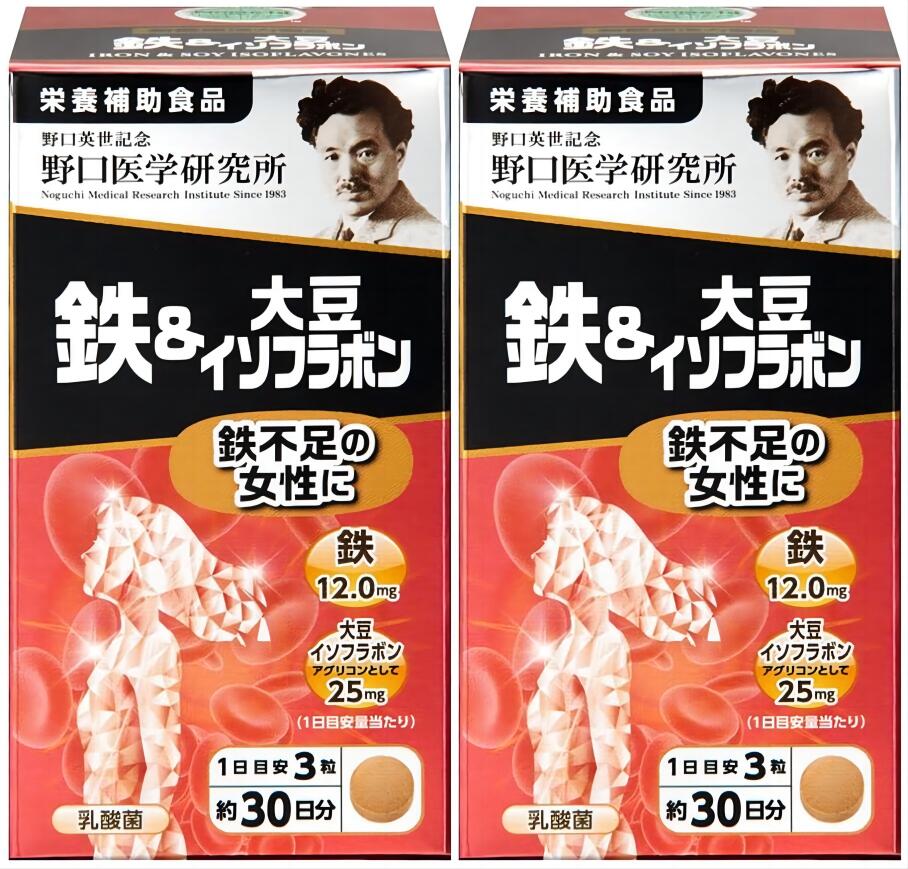 【在庫処分セール 50%割引】【2個セット】【野口医学研究所】 鉄&大豆イソフラボン (250mg×90粒)x2 栄養補助食品鉄 イソフラボン 女性 乳酸菌 鉄不足 賞味期限2026.01 在庫が少ない