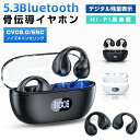 ワイヤレスイヤホン 骨伝導 Bluetooth イヤホン ワイヤレス イヤホン マイク付き 通話可能 ノイズキャンセリング コンパクト 残量表示 完全ワイヤレスイヤホン bluetooth5.3 防水 軽量 ギフト 誕生日 プレゼント おすすめ 2024