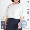 \17%OFF/大きいサイズ レディース 【Re-J&SUPURE】シアーチェック切り替えフリル袖トップス2L XL 3L 4L 大きいサイズ レディース ぽっちゃり ゆったり 体型カバー おしゃれ かわいい 大人 上品 きれいめ プラスサイズ オフィス 通勤 黄緑 紺 白 フェミニン