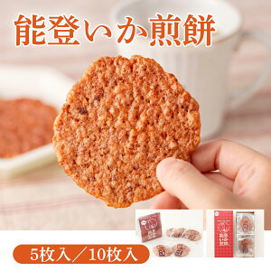 お中元 能登いか煎餅(5枚/10枚) いか煎餅 いかせんべい 個包装 和平商店 石川県 能登 奥能登 お取り寄せ お礼 手土産 石川土産 能登土産