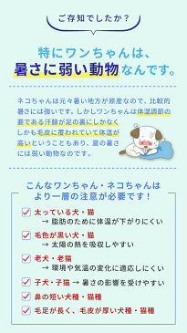 【もうひとつ無料プレゼント●送料無料】 犬 猫 ペット ひんやり 冷却 マット ジェル シート クール クールマット 冷感マット ペットマット ペットベッド 夏用 涼感冷感 ベッド グッズ 熱中症 熱中症対策 暑さ対策 水洗い 防水 丈夫 便利 小型犬 いぬ イヌ ネコ 犬用 猫用