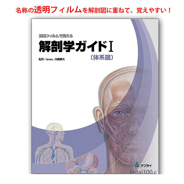 透明フィルムで覚える解剖学ガイド I 体系図 解剖学図鑑 医学図鑑 OR022 基礎医学