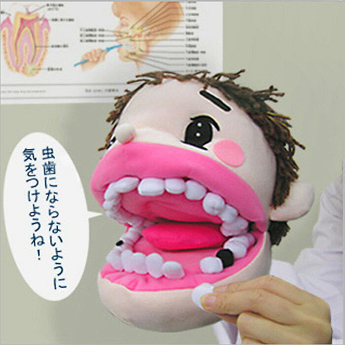 「歯科教育人形」 虫歯予防教育 布製知育教材SG-11-001