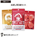 【森下仁丹公式】飴・のど飴おためし3袋セット [ のど飴 のどあめ あめ のど 飴 キャンディ メントール ノンシュガー しょうが 梅肉 梅..