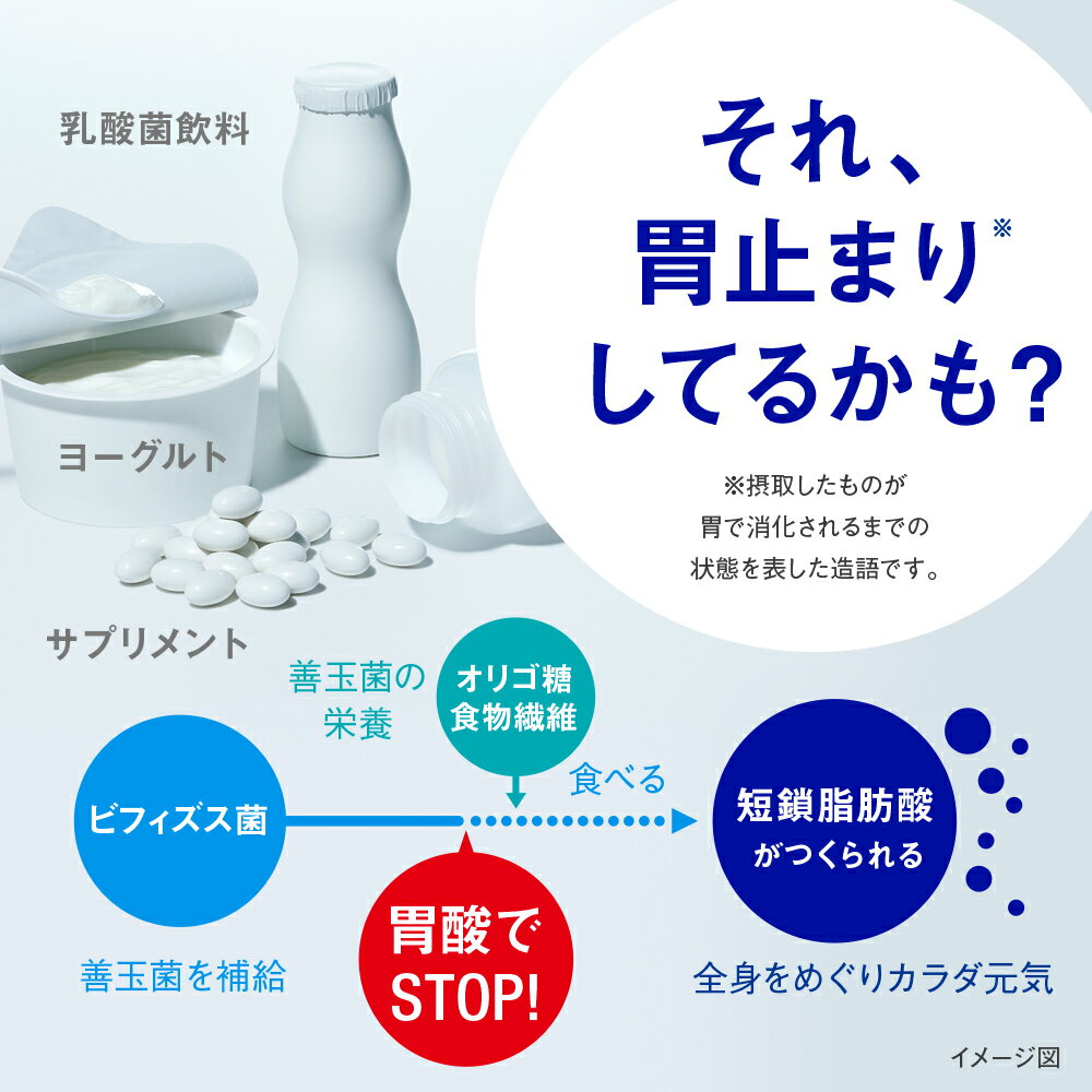 【森下仁丹公式】ビフィズス菌50億 30包 [ ビフィズス菌 乳酸菌 サプリ サプリメント ビフィズス菌サプリ オリゴ糖 ガセリ菌 腸テク 健康食品 ]