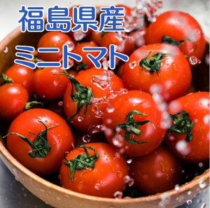 ミニトマト キャロルスター 要冷蔵便 福島県産 トマト