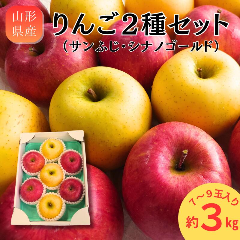 りんご 【11月下旬発送】 予約 山形県産 りんご 2種セット サンふじ シナノゴールド 秀品 3kg 7～9玉入 果物 フルーツ リンゴ 林檎 2種類 蜜入り お取り寄せ 贈答用 ギフト プレゼント 詰め合わせ 産直 直送 グルメ 山形 2024年産 令和6年産