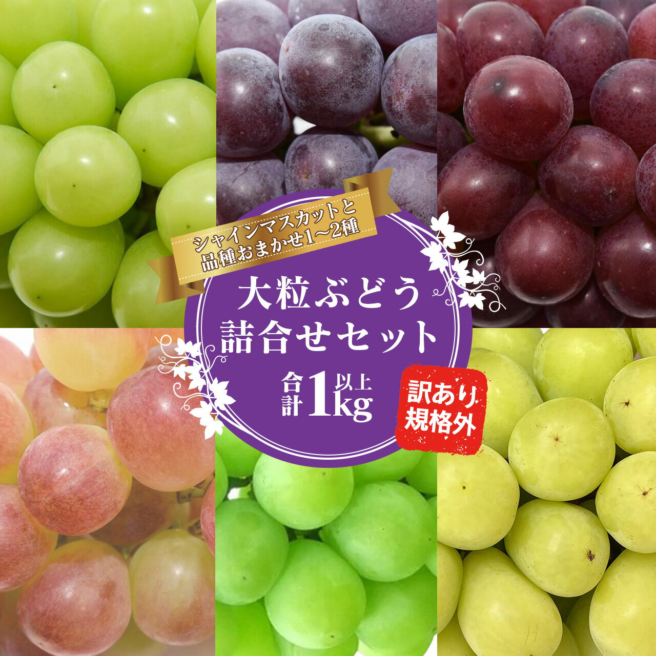 【9月下旬頃発送】 ＼シャインマスカット確定／ ぶどう 訳あり 送料無料 計1kg以上 山形県産 大粒 品種おまかせ 詰合せ 1～2種類 シャインマスカット 果物 フルーツ 葡萄 お取り寄せ 直送 グルメ 山形 家庭用 自宅用 規格外 規格外品 2025年産 令和7年産 予約 先行予約