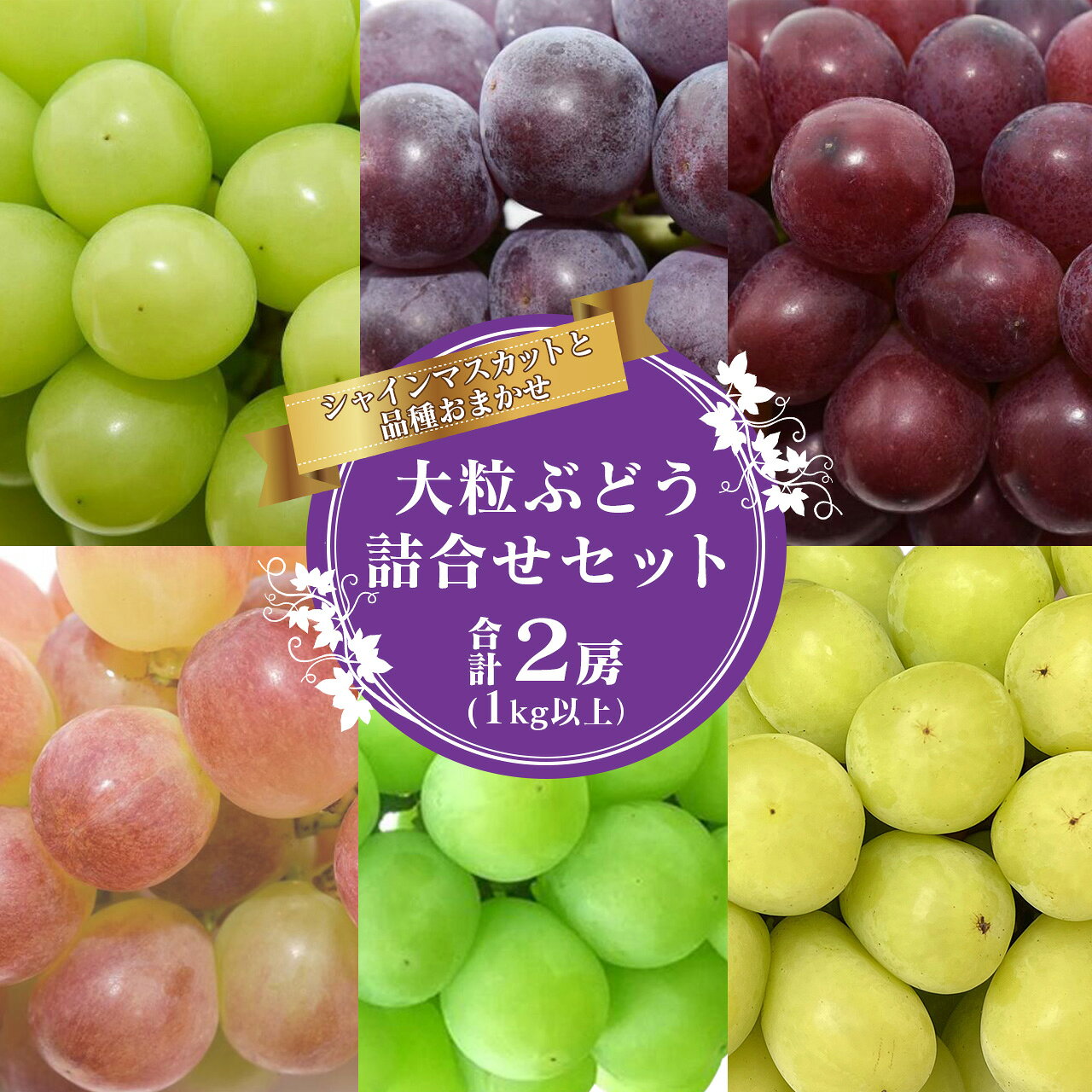 【9月下旬頃発送】＼シャインマスカット確定／ ぶどう シャインマスカット 品種おまかせ 詰合せセット 合計2房 1kg以上 山形県産 大粒 お任せ 品種 果物 フルーツ 葡萄 お取り寄せ 産直 直送 グルメ フルーツ王国 山形 2024年産 令和6年産 送料無料 予約 先行予約