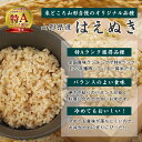 【先行予約】玄米 米 令和6年産 山形県産 はえぬき 10kg 5kg×2袋 送料無料 小分け お取り寄せ グルメ お米 山形 ブランド米 2024年産 健康食品 ダイエット 低カロリー 低糖質 食物繊維 ビタミン ヘルシー 国産 石抜き処理済 予約 2