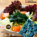 <期間限定 ポイント10倍>生わかめ 鳴門産 650g 金印 海藻 ワカメ ミネラル ダイエット 健康 朝食 セット ダイエット食品 ダイエットスープ 置き換えダイエット ダイエット食品 低カロリー 低糖質 糖質オフ 糖質制限 食品 美容食品 満腹感 130g×5袋 鳴門 鳴門わかめ