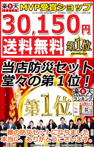 防災セット 家族 4人用【防災セットDX 防災グッズ セット 防災 非常用持ち出し袋 送料無料 非常持ち出し袋 防災用品 避難セット 防災グッツ 非常持出袋 子供用 女性用 災害 グッズ 防災リュック 避難グッズ 災害用品 地震 避難袋】RN