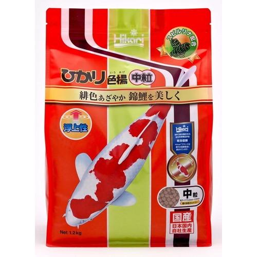 �Ӹ�δ������ܿ� �Ҥ��꿧�� ��γ 1.2kg ���硼��� �ҥ��ꥤ���������楦�ĥ�1.2KG