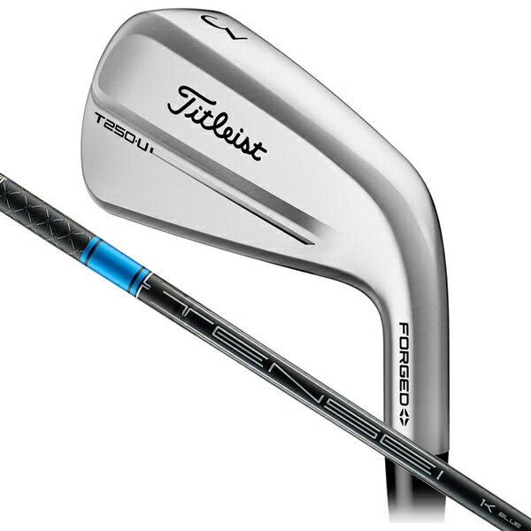 タイトリスト T250・U ユーティリティ アイアン #2 (TENSEI 1K BLUE HY シャフト・フレックス：65) 564RGS2J Titleist ゴルフ ゴルフクラブ