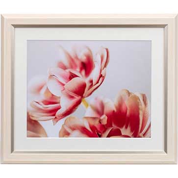 ケンコー グレイスメロウMiu　六切（アイボリー） JGM-6-IV