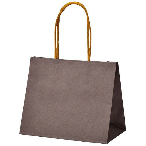 ササガワ 手提げ袋 手提げバッグ テミニン 小マチ広 1枚入(ブラウン) sasagawa 50-6032