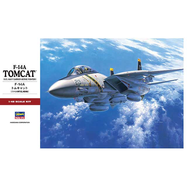ハセガワ 1/48 F-14A トムキャット【PT46】 プラモデル