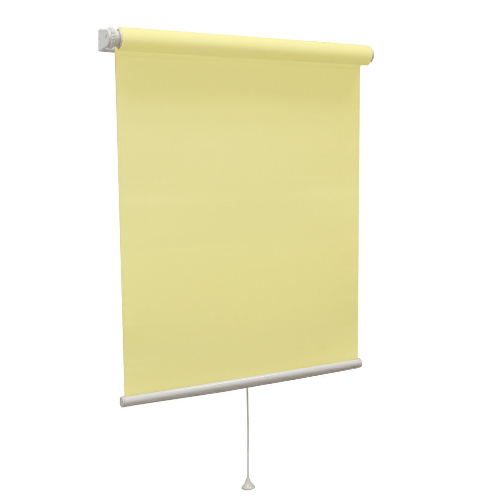タチカワ(立川機工) ティオリオ ロールスクリーン 規格品 無地（イエロー・サイズ：幅45×高さ135cm） TIORIO-144-45-135 [他商品と同時購入不可]メーカー直送品 [TIORIO14445135]