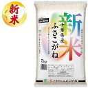千葉県産ふさこがね 5kg おくさま印(幸南食糧) チバケンサンフサコガネ5KG