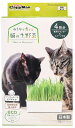 猫用 おうちで育てる猫の生野菜 4回分 CattyMan(キャティーマン) ドギーマンハヤシ オウチソダテルネコナマヤサイ 4カイ