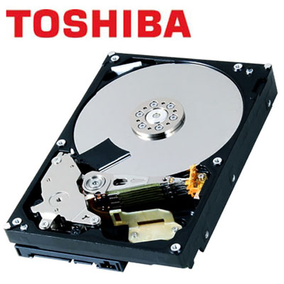 TOSHIBA（東芝） DT01-Vシリーズ(監視カ