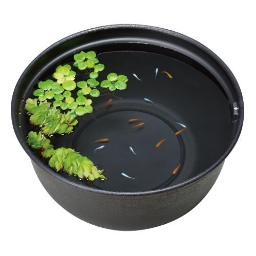 GEX メダカの飼育鉢 黒420 ジェックス メダカノタメノシイクハチクロ420