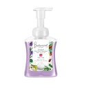 泡ミューズ ボタニカル 本体 250ml レキットベンキーザー・ジャパン ミユ-ズアワボタニカルホンタイ