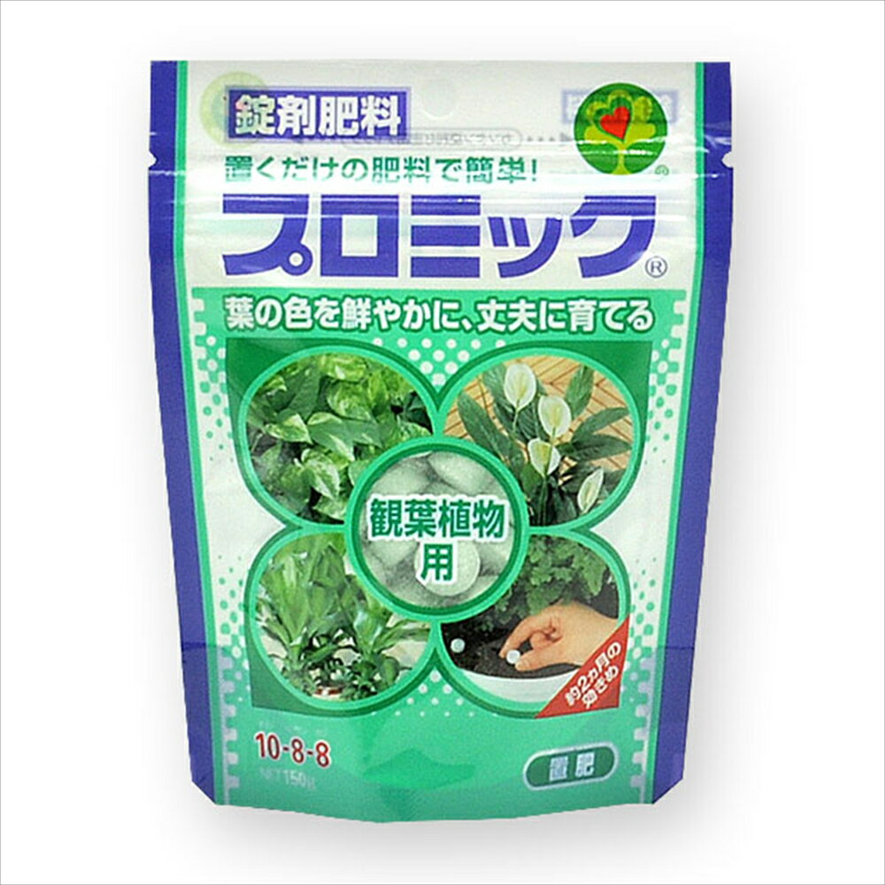 【返品種別B】□「返品種別」について詳しくはこちら□◆土に置くだけ簡単！　安定した効きめが持続！　◆早く効く成分とゆっくり効く成分を含み、安定した肥料効果が約2ヵ月間持続します。◆臭いも少なく清潔なので、玄関先、ベランダ、室内でも安心して使用できます。◆チッソ成分を多く含むので、葉色を鮮やかにし、生育を促進します。■　仕　様　■容量：150g形状：錠剤有効成分：N(チッソ)/10P(リン酸)/8K(カリ)/8適用作物：ポトス、幸福の木、オリズルラン、ベンジャミン、スパシフィラム、コニファー、ドラセナ、シェフレラ(カポック)、シダ、アジアンタム、ディフェンバキア、パキラ、ゴムの木など[2056446]ハイポネックスジャパンアウトドア＞ガーデン・エクステリア用品＞土・肥料