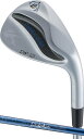 DW-123-CB-L-48 キャスコ ドルフィンウェッジ DW-123 for LADIES ロフト角48° フレックス:L Dolphin DP-231 L...