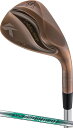 DW-123COP-NSNEO-W-54 キャスコ ドルフィンウェッジ DW-123 Copper ロフト角54° フレックス：WEDGE N.S PRO 950GH neoシャフト