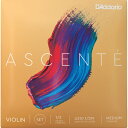 ダダリオ バイオリン弦セット(1/2スケール) A310 1/2M D'Addario Ascente Violin Strings