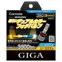 BW5161 カーメイト GIGA LEDフォグバルブ F3500D carmate