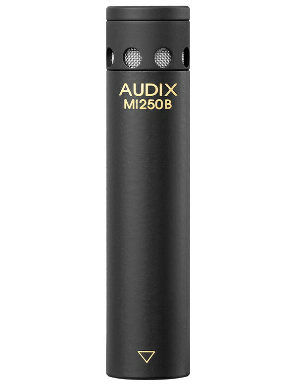 Audix - AUDIX 超小型コンデンサーマイクロフォン(ブラック)ショットガンタイプ M1250BS