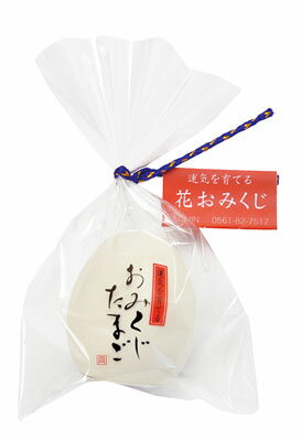 聖新陶芸 おみくじたまご混合　栽培セット EG-18 聖新陶芸　SEISHIN　栽培キット　栽培セット　卵　玉子