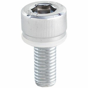 TANAX ミラー補修部品（M10正キャップボルト・クローム） NP-001