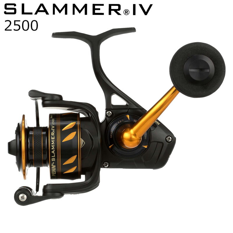 スラマー4 SLAIV2500 の画像