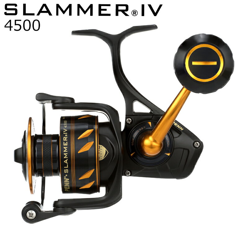 スラマー4 DX SLAIVDX4500 の画像